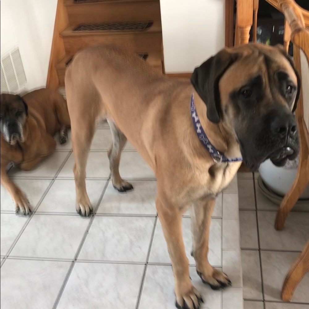 Meet your Posher, Angela